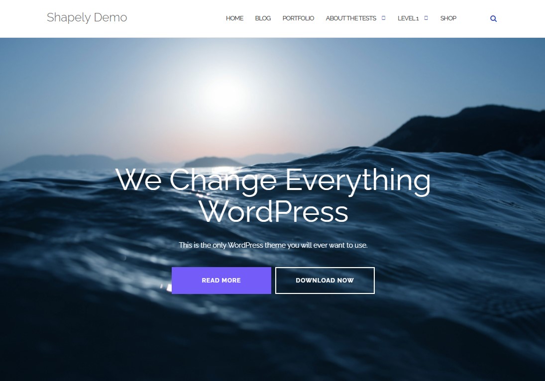 Shapely – One Page WordPress Theme