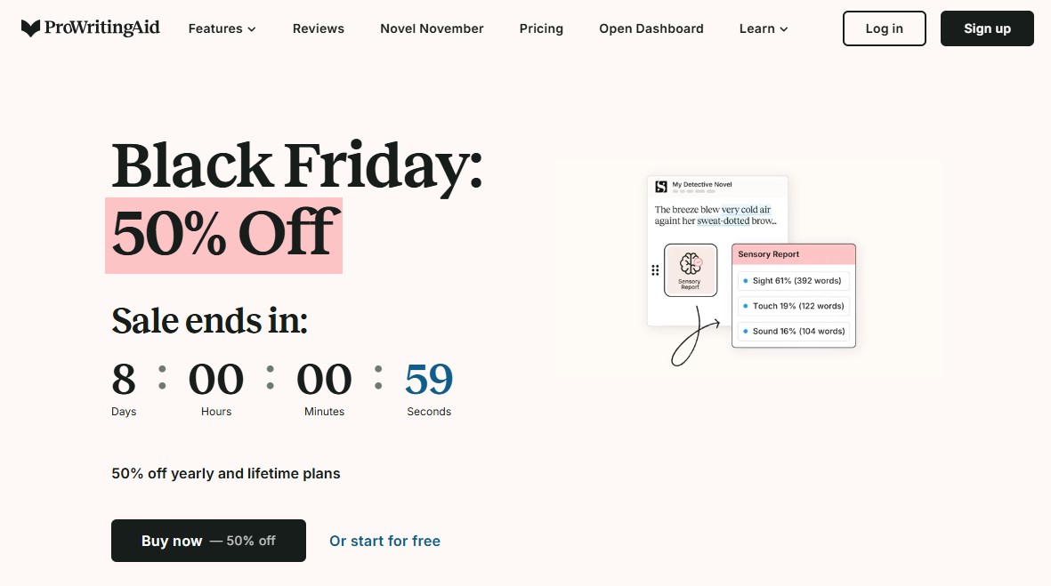 ProWritingAid Black Friday Offer