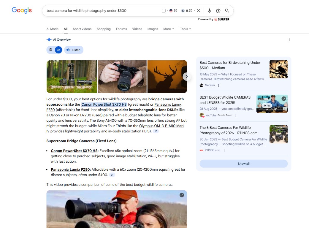 Google AI Overview Example for the Keyword "Best Camera for Wildlife Photography Under $500"